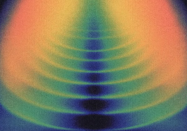 Why Mushrooms, Part 5: They really are THAT safe.